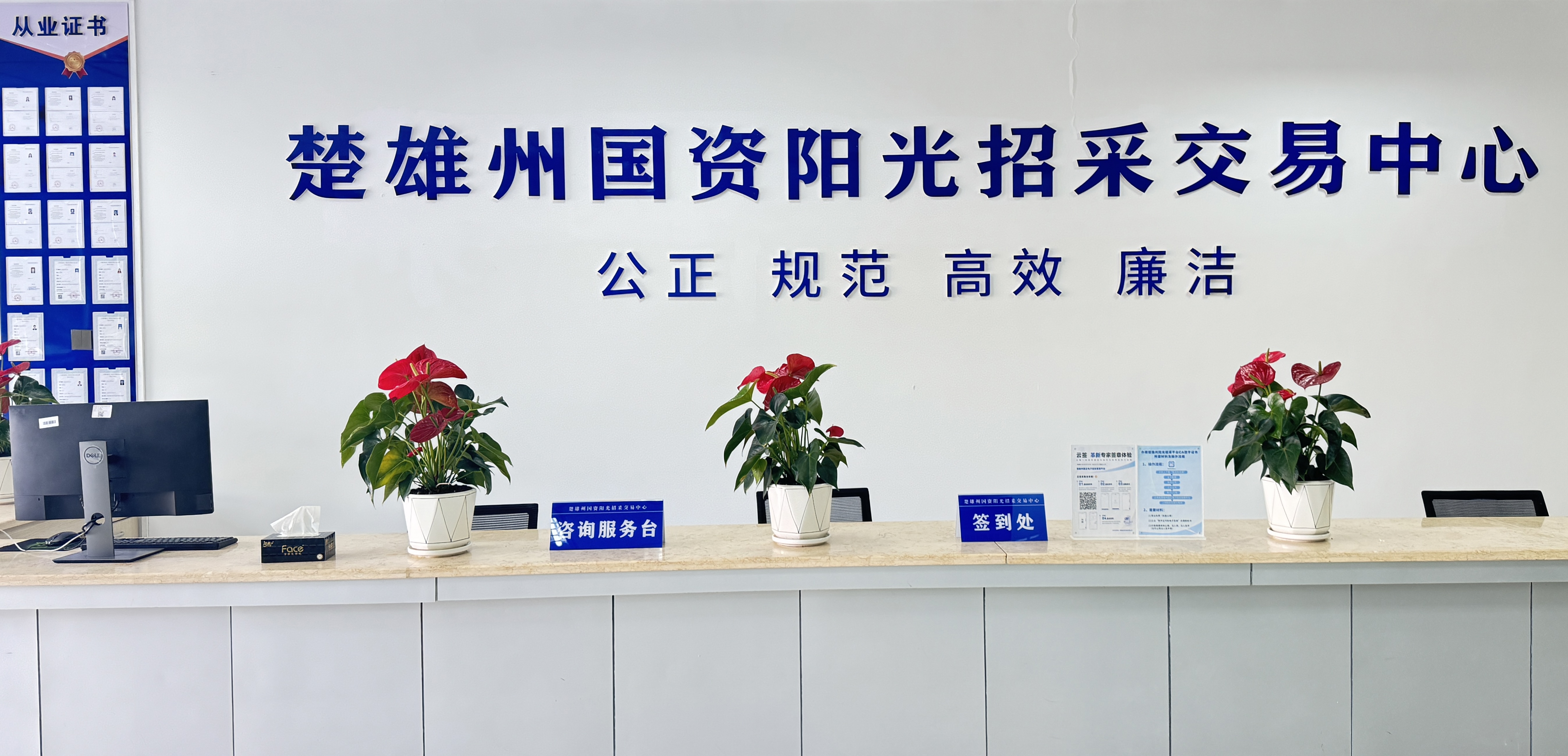 楚雄州国资阳光招采交易中心（咨询服务台）